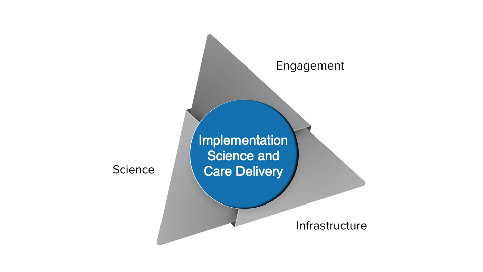 Implementation Science and Care Delivery D2D500