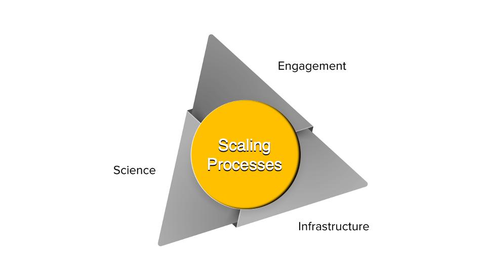 Scaling Processes and Commercializing Technologies D2D700